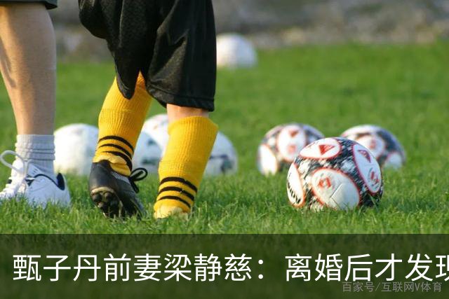 甄子丹前妻梁静慈：离婚后才发现怀孕，给儿子取名想气甄子丹？